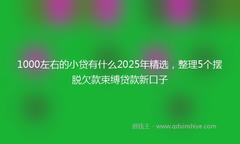 1000左右的小贷有什么2025年精选，整理5个摆脱欠款束缚贷款新口子