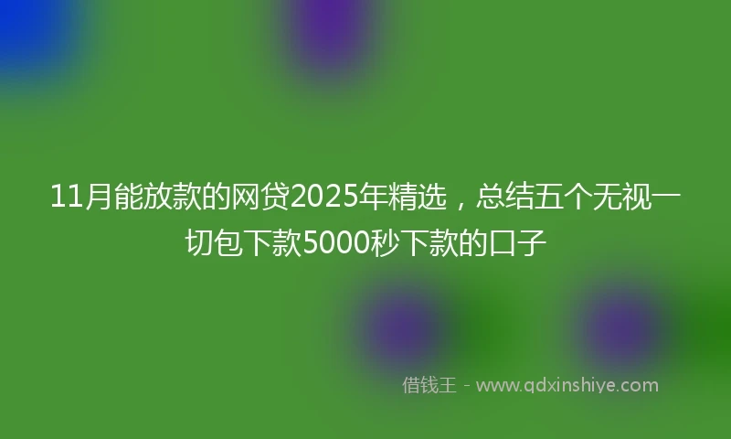 11月能放款的网贷2025年精选，总结五个无视一切包下款5000秒下款的口子