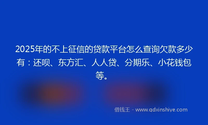 2025年的不上征信的贷款平台怎么查询欠款多少有：还呗、东方汇、人人贷、分期乐、小花钱包等。