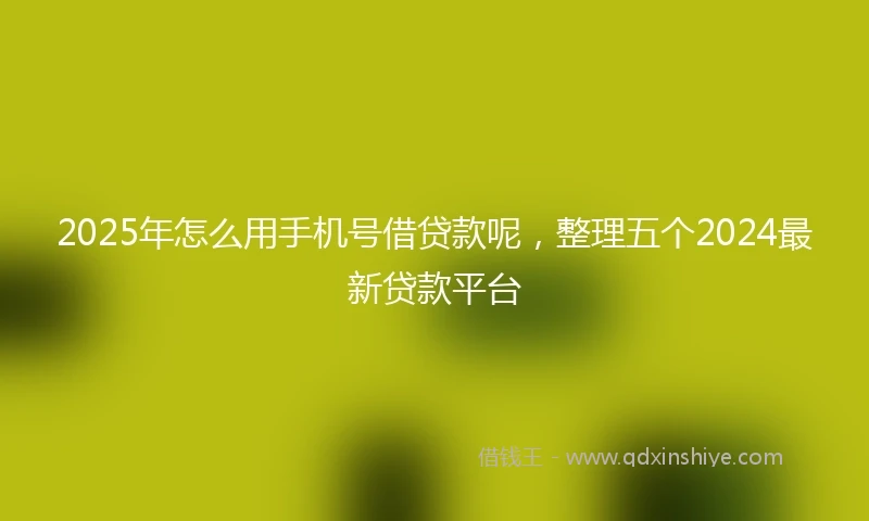 2025年怎么用手机号借贷款呢，整理五个2024最新贷款平台
