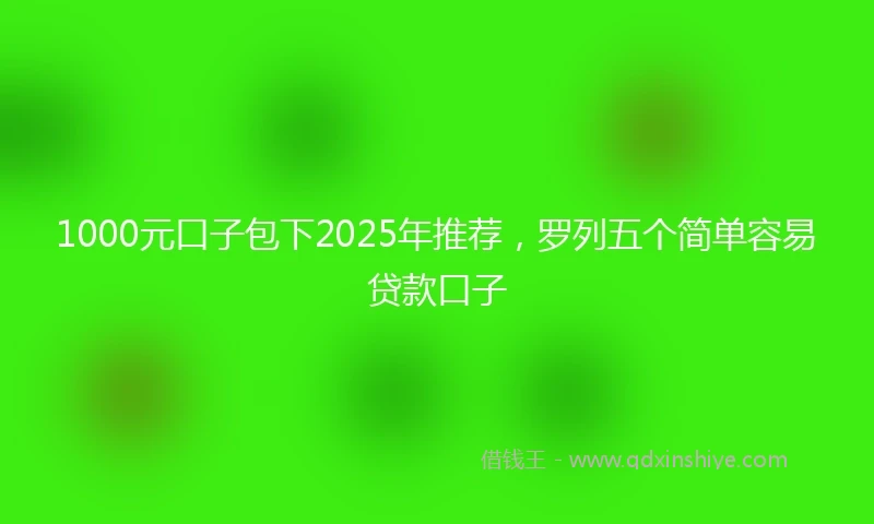 1000元口子包下2025年推荐，罗列五个简单容易贷款口子
