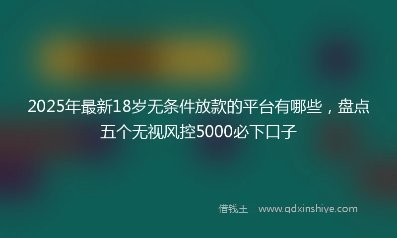 2025年最新18岁无条件放款的平台有哪些，盘点五个无视风控5000必下口子