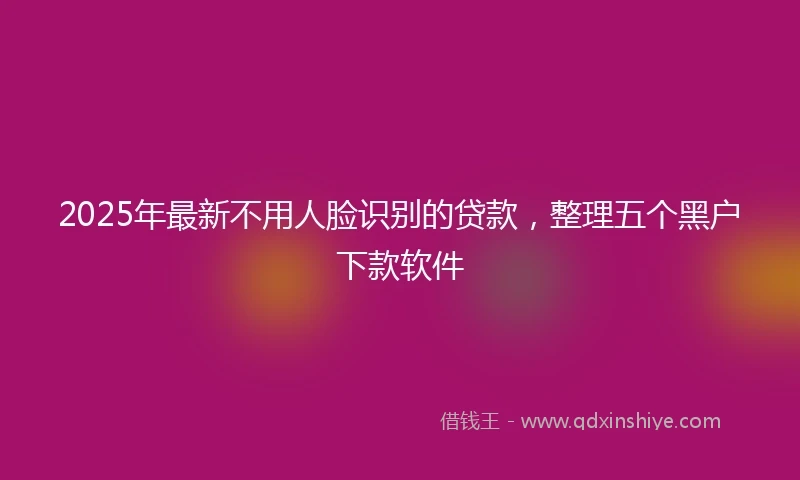2025年最新不用人脸识别的贷款，整理五个黑户下款软件