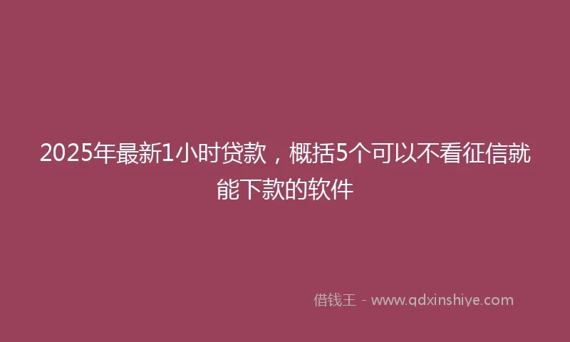 2025年最新1小时贷款，概括5个可以不看征信就能下款的软件