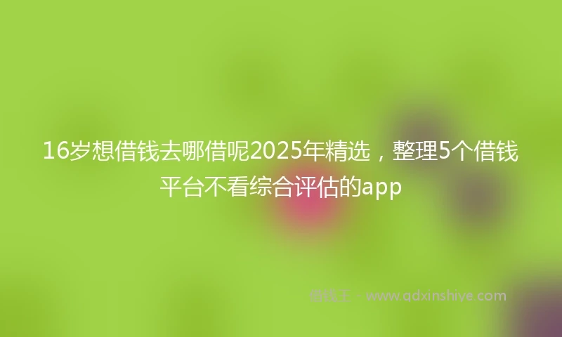 16岁想借钱去哪借呢2025年精选，整理5个借钱平台不看综合评估的app