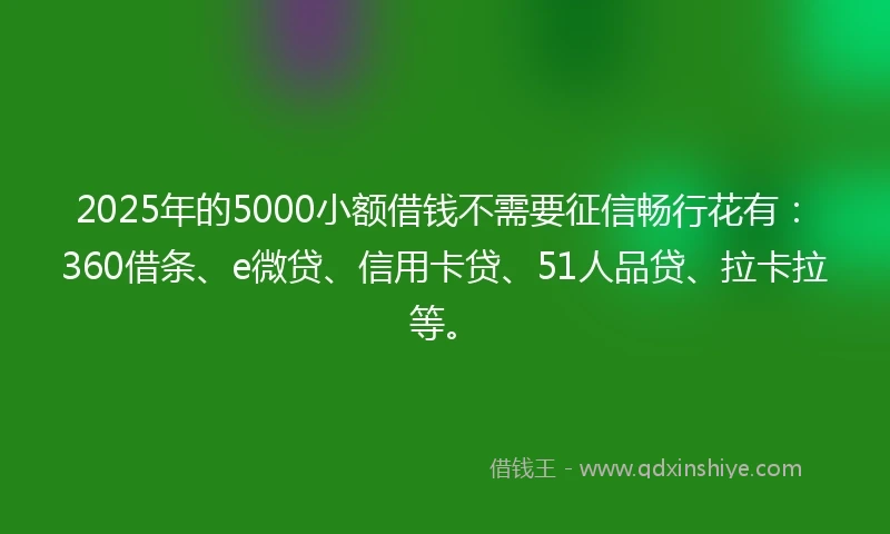2025年的5000小额借钱不需要征信畅行花有：360借条、e微贷、信用卡贷、51人品贷、拉卡拉等。