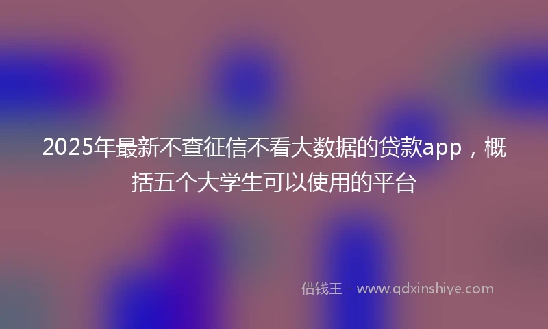 2025年最新不查征信不看大数据的贷款app，概括五个大学生可以使用的平台