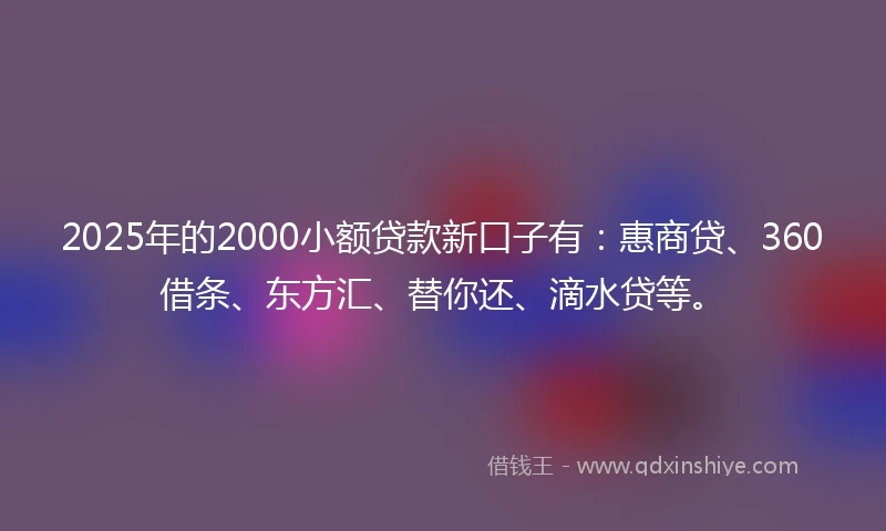 2025年的2000小额贷款新口子有：惠商贷、360借条、东方汇、替你还、滴水贷等。