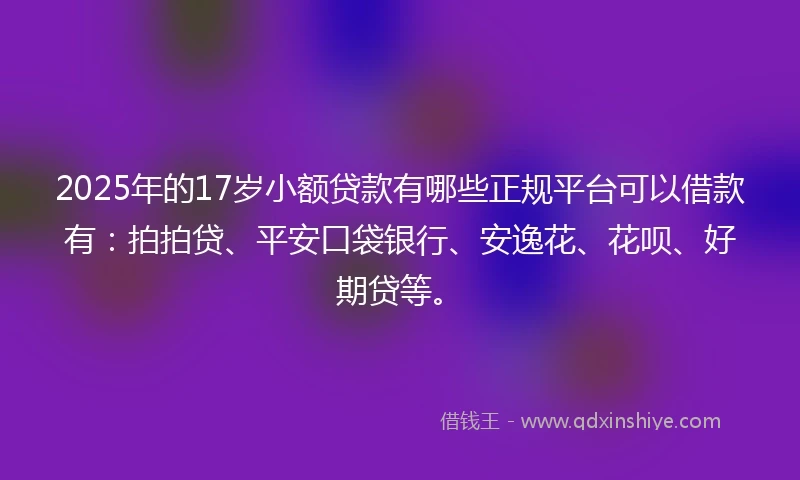 2025年的17岁小额贷款有哪些正规平台可以借款有：拍拍贷、平安口袋银行、安逸花、花呗、好期贷等。