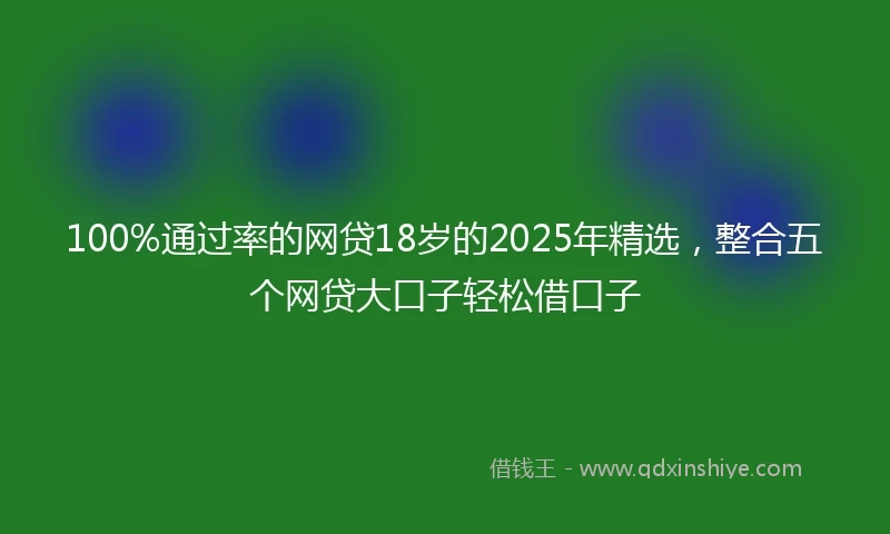 100%通过率的网贷18岁的2025年精选，整合五个网贷大口子轻松借口子