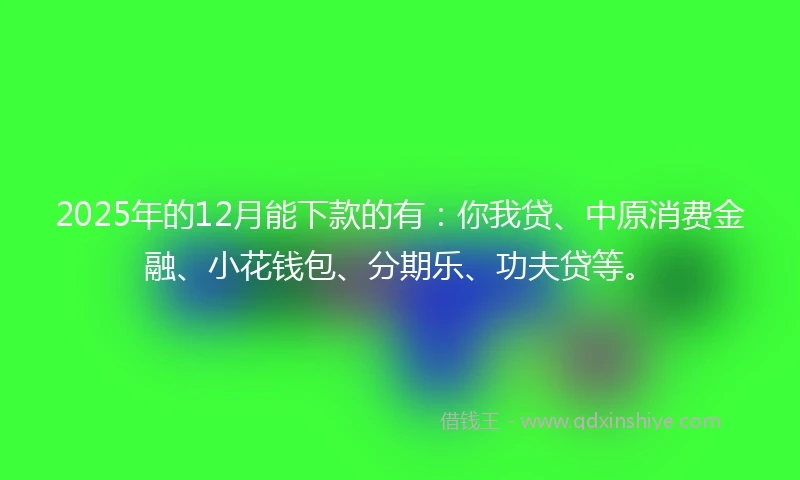 2025年的12月能下款的有：你我贷、中原消费金融、小花钱包、分期乐、功夫贷等。