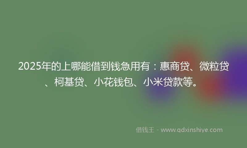 2025年的上哪能借到钱急用有：惠商贷、微粒贷、柯基贷、小花钱包、小米贷款等。