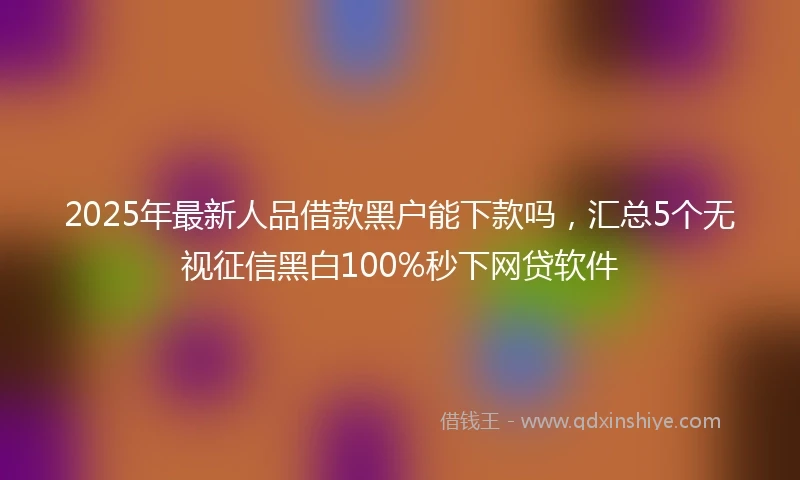2025年最新人品借款黑户能下款吗，汇总5个无视征信黑白100%秒下网贷软件