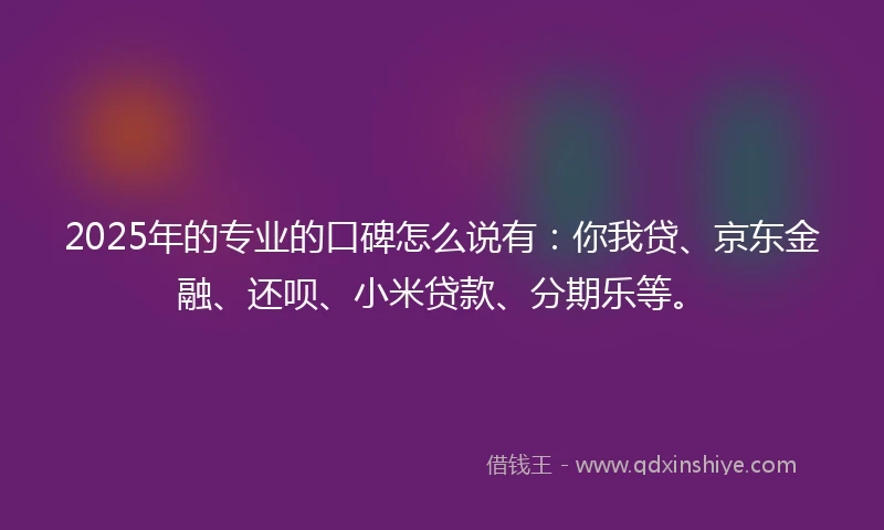 2025年的专业的口碑怎么说有：你我贷、京东金融、还呗、小米贷款、分期乐等。