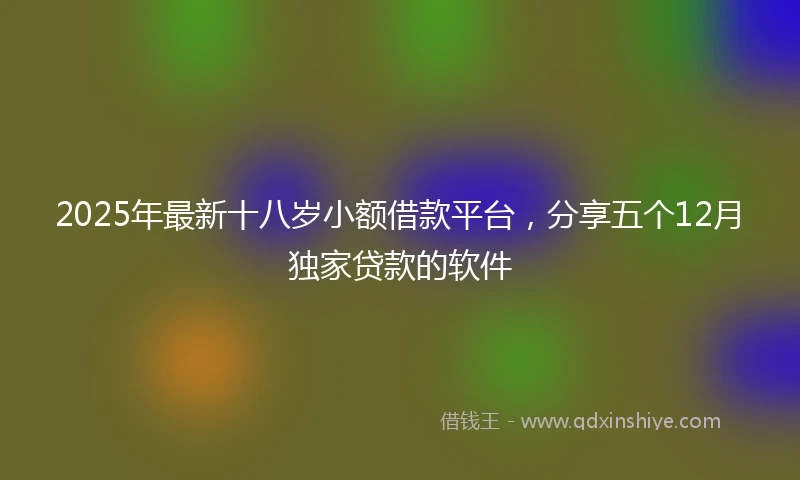 2025年最新十八岁小额借款平台，分享五个12月独家贷款的软件