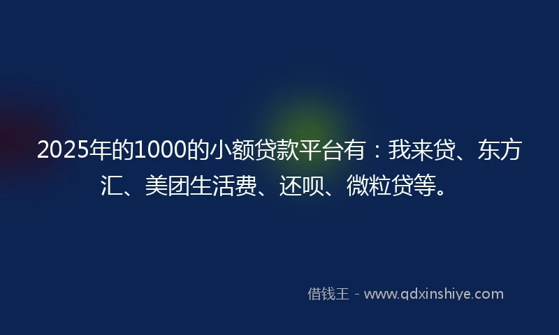2025年的1000的小额贷款平台有：我来贷、东方汇、美团生活费、还呗、微粒贷等。