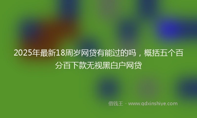 2025年最新18周岁网贷有能过的吗，概括五个百分百下款无视黑白户网贷