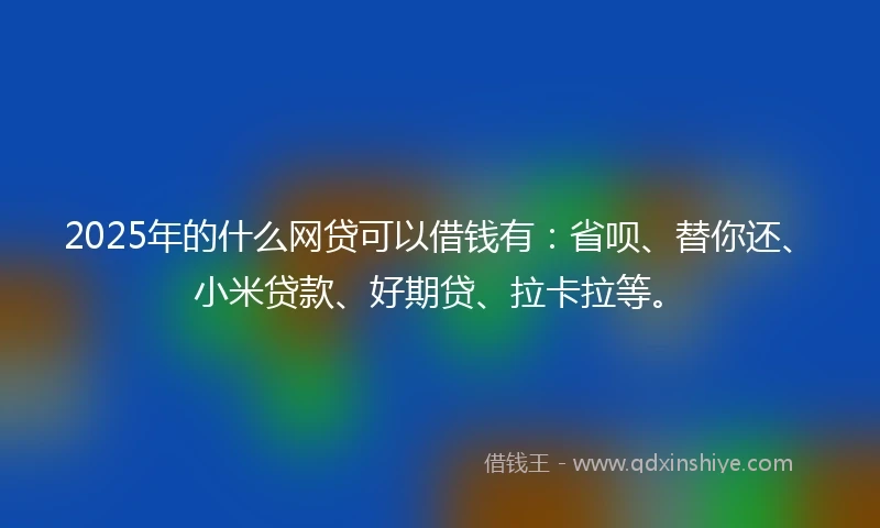 2025年的什么网贷可以借钱有：省呗、替你还、小米贷款、好期贷、拉卡拉等。