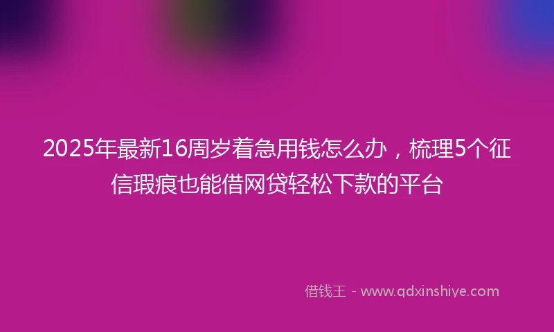 2025年最新16周岁着急用钱怎么办，梳理5个征信瑕疵也能借网贷轻松下款的平台