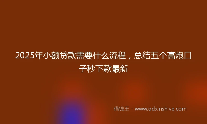 2025年小额贷款需要什么流程，总结五个高炮口子秒下款最新