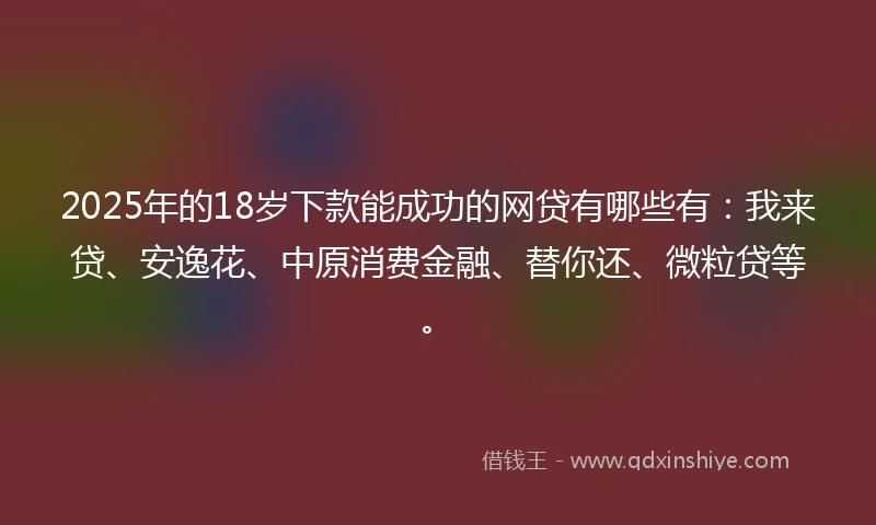 2025年的18岁下款能成功的网贷有哪些有：我来贷、安逸花、中原消费金融、替你还、微粒贷等。