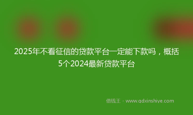 2025年不看征信的贷款平台一定能下款吗，概括5个2024最新贷款平台