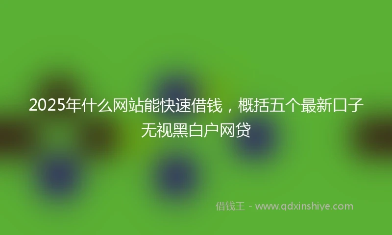 2025年什么网站能快速借钱，概括五个最新口子无视黑白户网贷