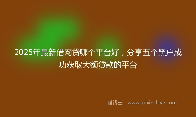 2025年最新借网贷哪个平台好，分享五个黑户成功获取大额贷款的平台