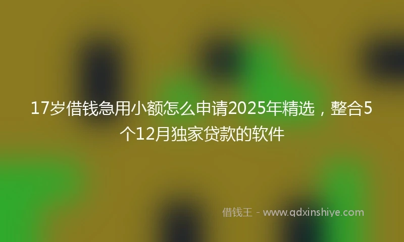 17岁借钱急用小额怎么申请2025年精选，整合5个12月独家贷款的软件