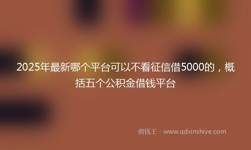 2025年最新哪个平台可以不看征信借5000的，概括五个公积金借钱平台