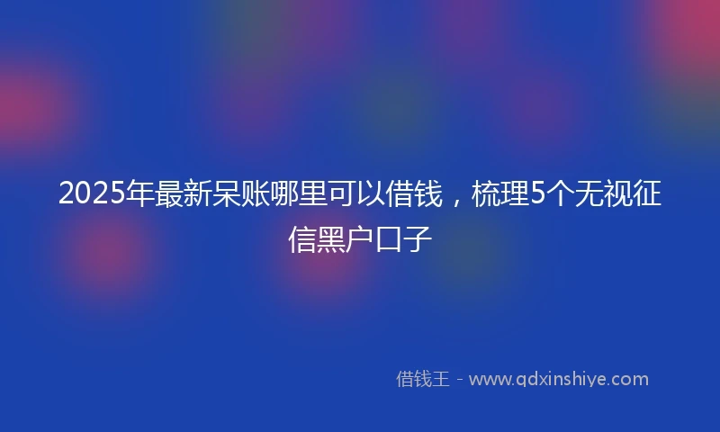 2025年最新呆账哪里可以借钱，梳理5个无视征信黑户口子