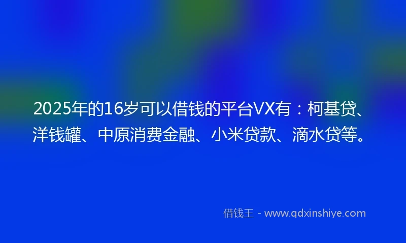 2025年的16岁可以借钱的平台VX有：柯基贷、洋钱罐、中原消费金融、小米贷款、滴水贷等。
