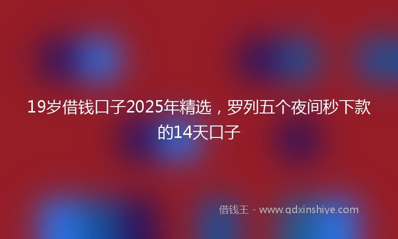 19岁借钱口子2025年精选，罗列五个夜间秒下款的14天口子