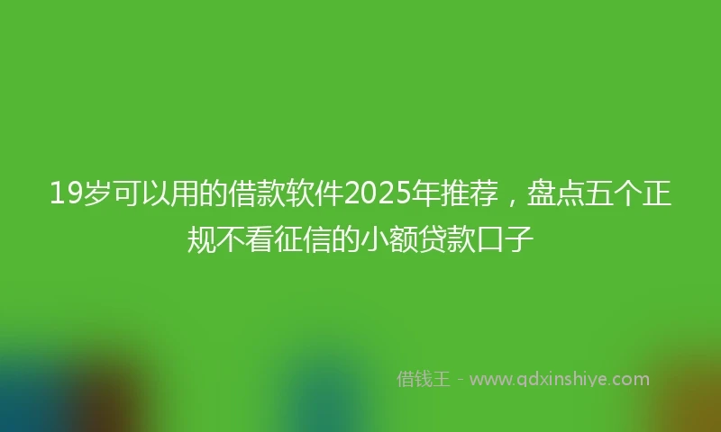 19岁可以用的借款软件2025年推荐，盘点五个正规不看征信的小额贷款口子
