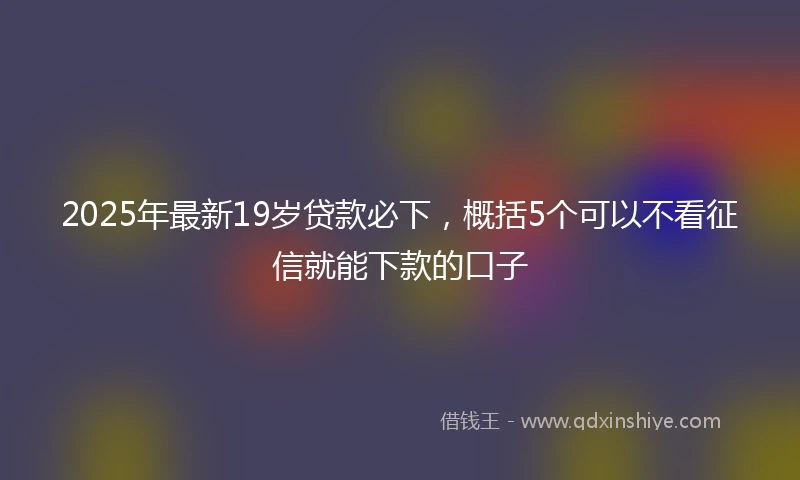 2025年最新19岁贷款必下，概括5个可以不看征信就能下款的口子