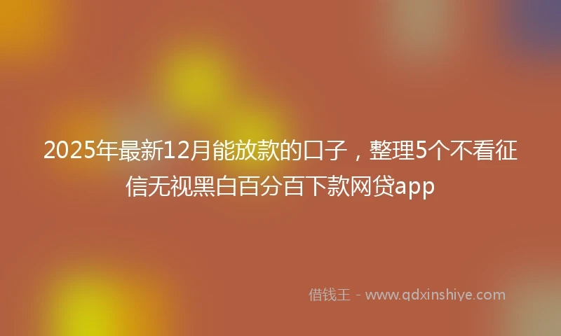 2025年最新12月能放款的口子，整理5个不看征信无视黑白百分百下款网贷app
