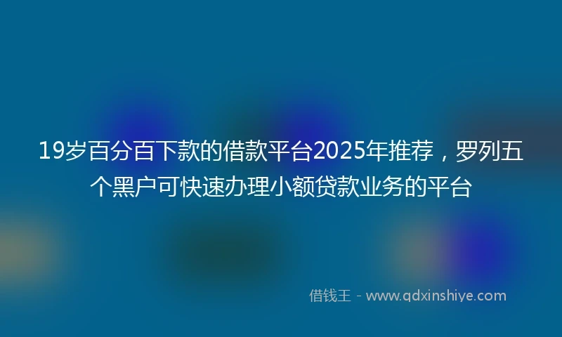 19岁百分百下款的借款平台2025年推荐，罗列五个黑户可快速办理小额贷款业务的平台