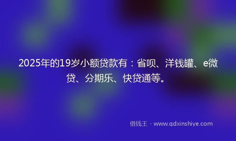 2025年的19岁小额贷款有：省呗、洋钱罐、e微贷、分期乐、快贷通等。