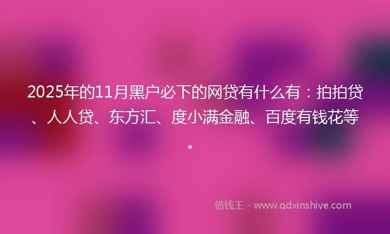 2025年的11月黑户必下的网贷有什么有：拍拍贷、人人贷、东方汇、度小满金融、百度有钱花等。