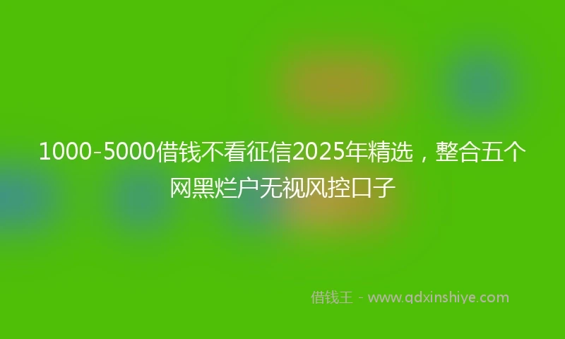 1000-5000借钱不看征信2025年精选，整合五个网黑烂户无视风控口子