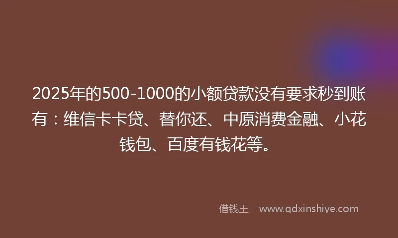 2025年的500-1000的小额贷款没有要求秒到账有：维信卡卡贷、替你还、中原消费金融、小花钱包、百度有钱花等。