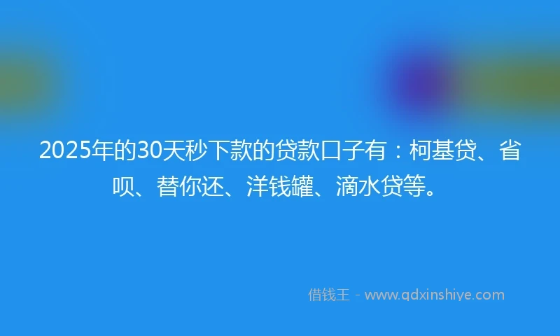 2025年的30天秒下款的贷款口子有：柯基贷、省呗、替你还、洋钱罐、滴水贷等。