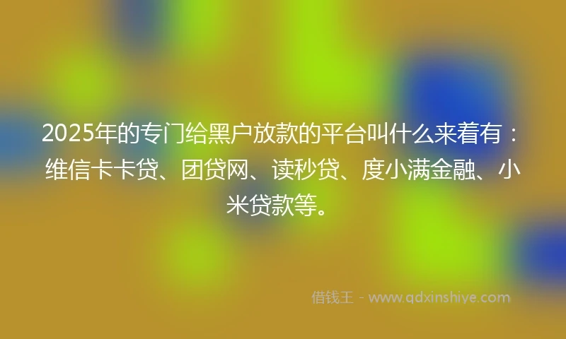2025年的专门给黑户放款的平台叫什么来着有：维信卡卡贷、团贷网、读秒贷、度小满金融、小米贷款等。