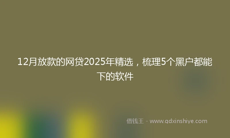 12月放款的网贷2025年精选，梳理5个黑户都能下的软件