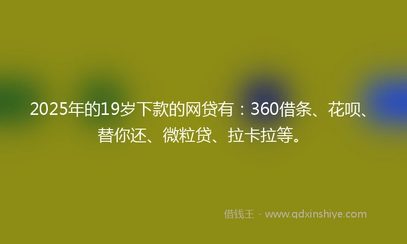 2025年的19岁下款的网贷有：360借条、花呗、替你还、微粒贷、拉卡拉等。