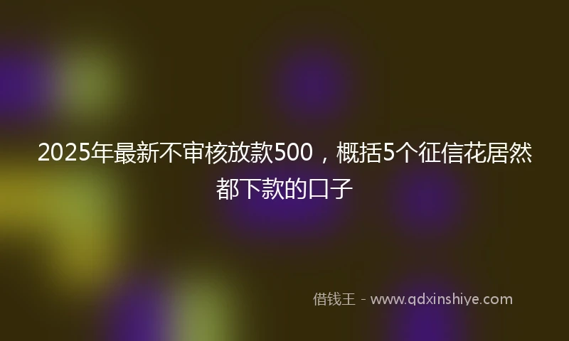 2025年最新不审核放款500，概括5个征信花居然都下款的口子