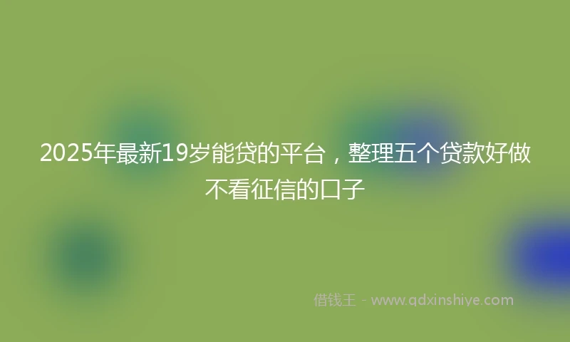 2025年最新19岁能贷的平台，整理五个贷款好做不看征信的口子