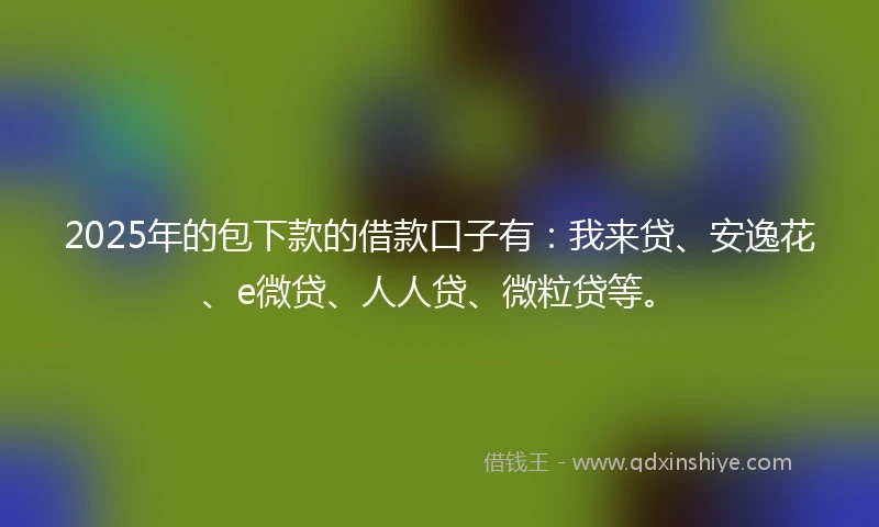 2025年的包下款的借款口子有：我来贷、安逸花、e微贷、人人贷、微粒贷等。