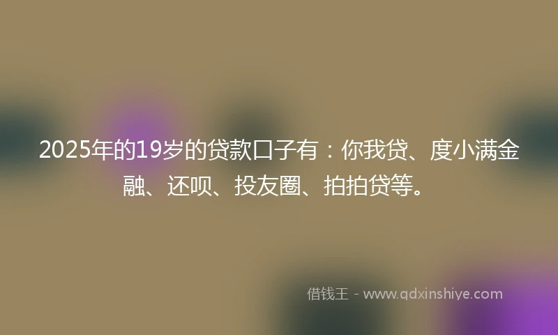 2025年的19岁的贷款口子有：你我贷、度小满金融、还呗、投友圈、拍拍贷等。