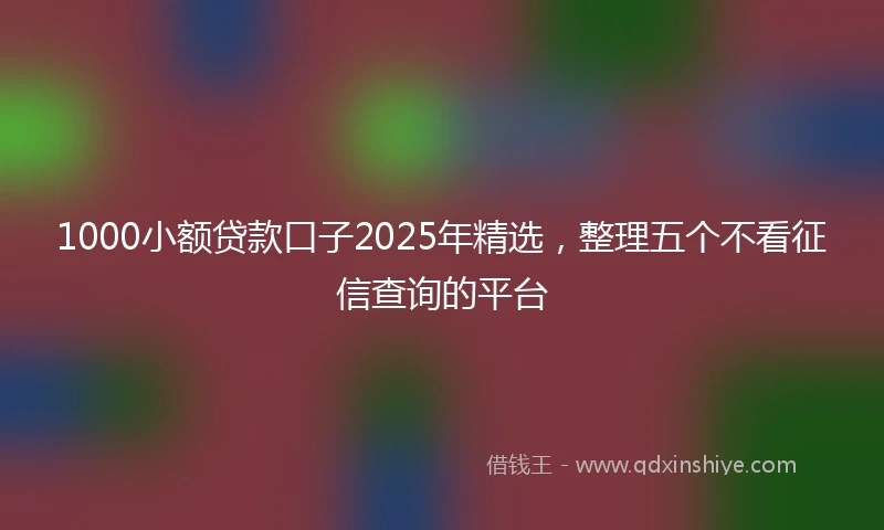 1000小额贷款口子2025年精选，整理五个不看征信查询的平台